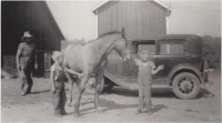 Bradley_Farms30s.jpg