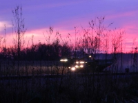 Corn Harvest_1